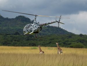 ZAR Aviation Giraffe Capture 03